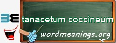 WordMeaning blackboard for tanacetum coccineum